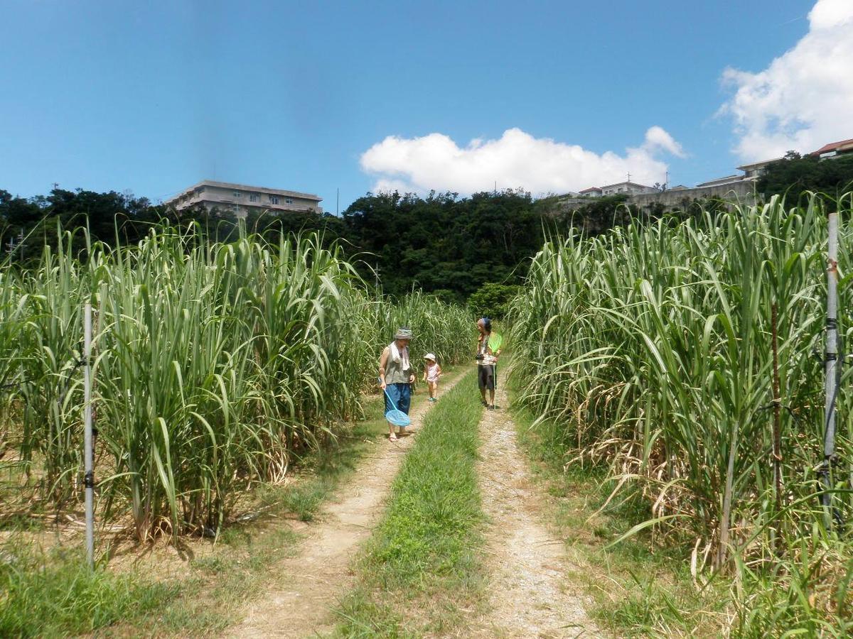 Okinawa Hostel Yanbaru Fukuro Nago Eksteriør billede