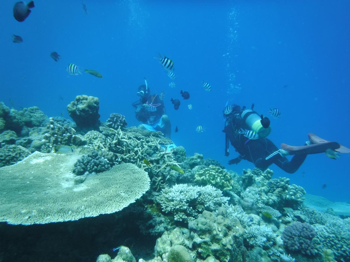 Okinawa Hostel Yanbaru Fukuro Nago Eksteriør billede