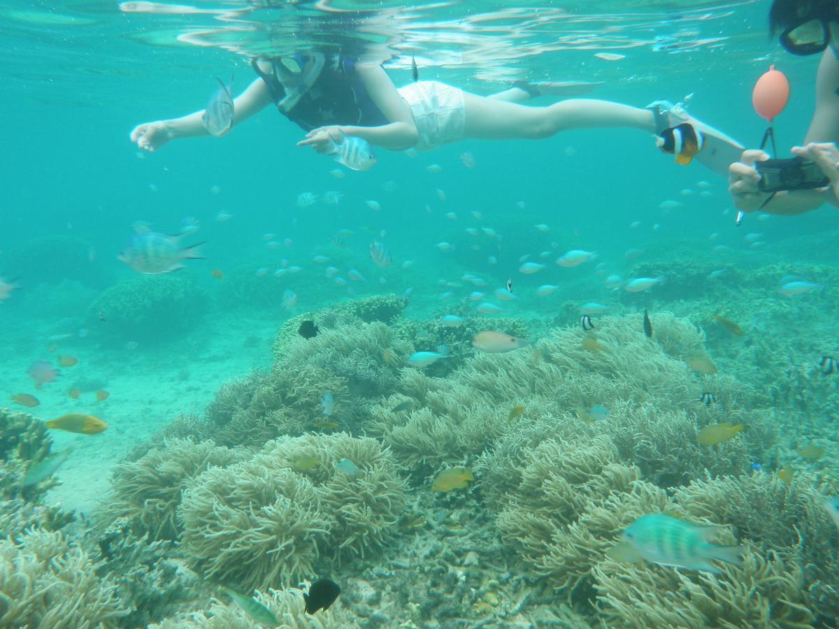 Okinawa Hostel Yanbaru Fukuro Nago Eksteriør billede